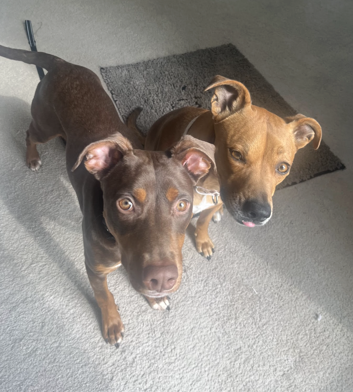 Screenshot 2026-02-07 at 8.09.01 AM.png