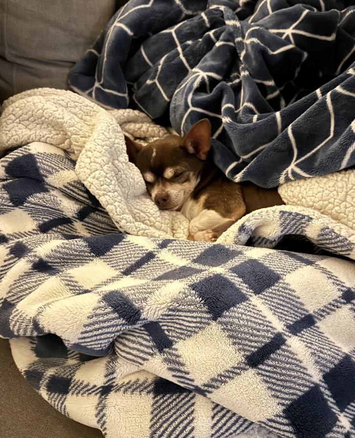 Screenshot 2026-02-05 at 1.51.35 PM.png