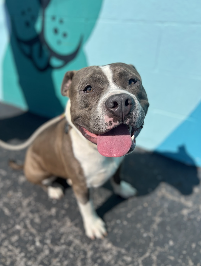 Screenshot 2026-03-20 at 4.00.47 PM.png