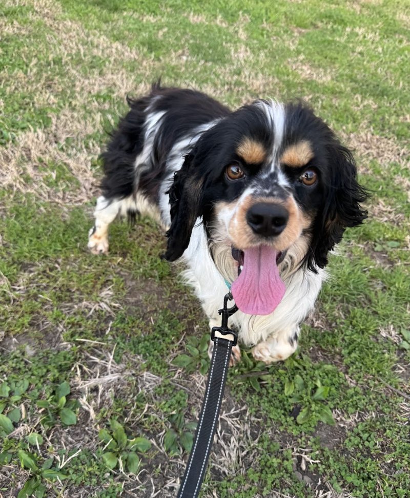 Screenshot 2026-03-21 at 2.28.18 PM.png