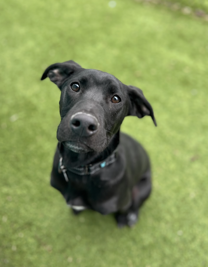 Screenshot 2026-02-05 at 6.02.21 PM.png