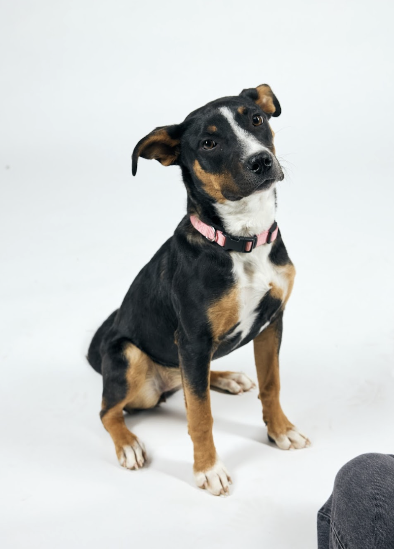 Screenshot 2026-02-16 at 6.51.22 PM.png