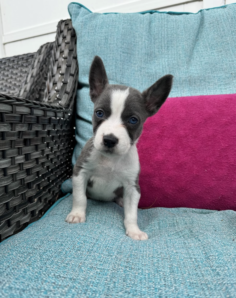 Screenshot 2026-04-23 at 2.15.42 PM.png