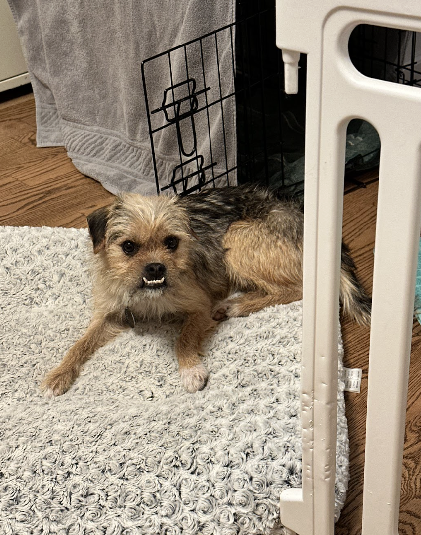 Screenshot 2026-01-14 at 9.27.29 PM.png