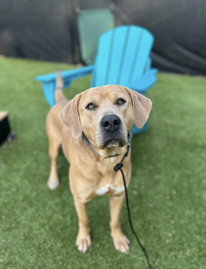 Screenshot 2026-04-09 at 6.41.44 PM.png