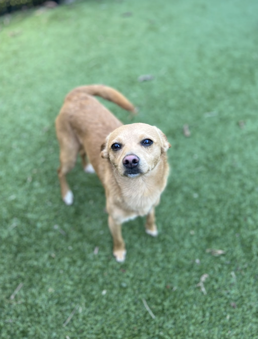 Screenshot 2026-02-27 at 4.44.06 PM.png