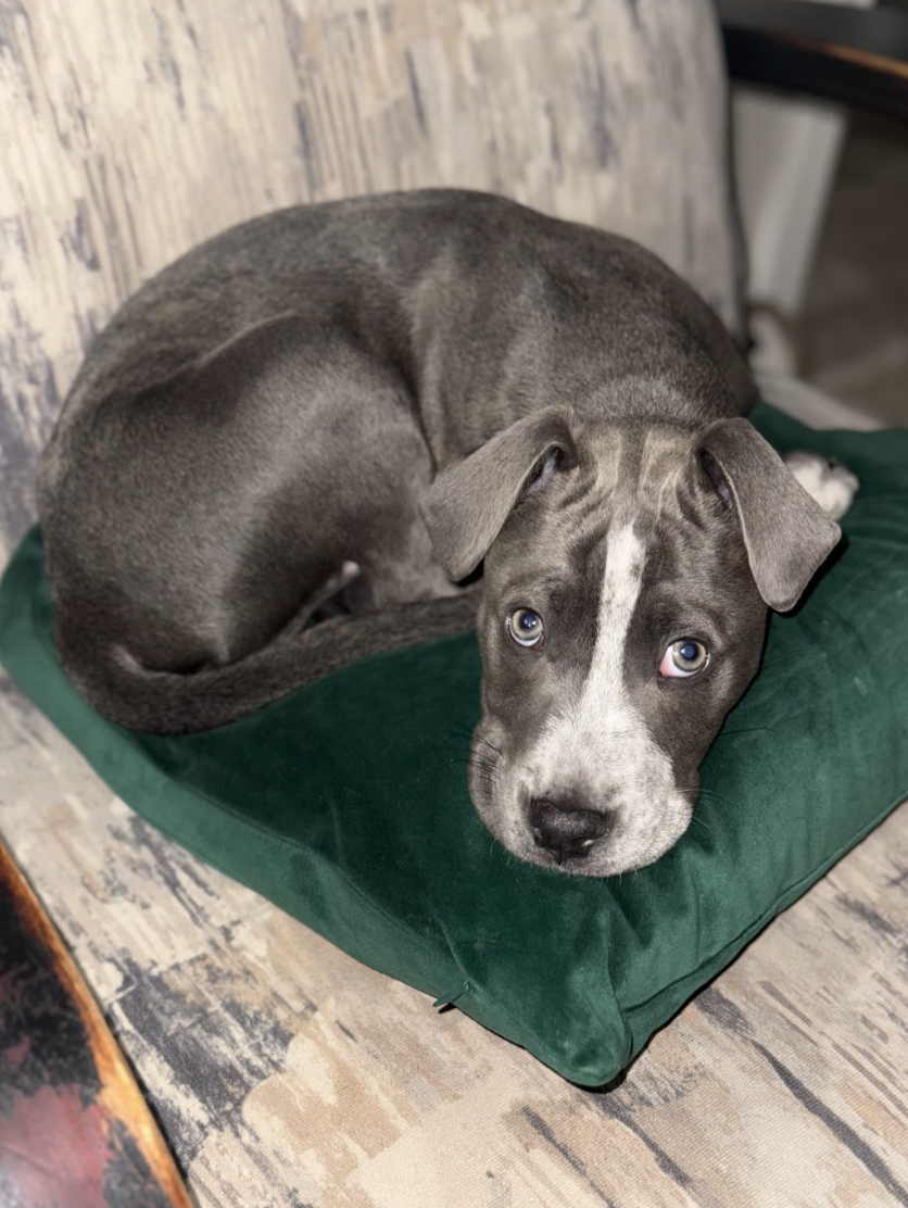 Screenshot 2026-01-08 at 1.30.16 PM.png