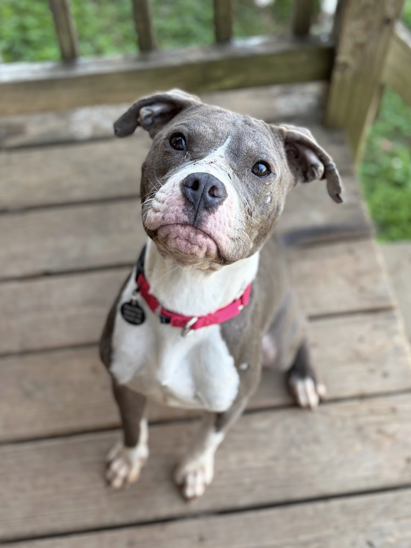 Screenshot 2026-04-20 at 1.21.22 PM.png