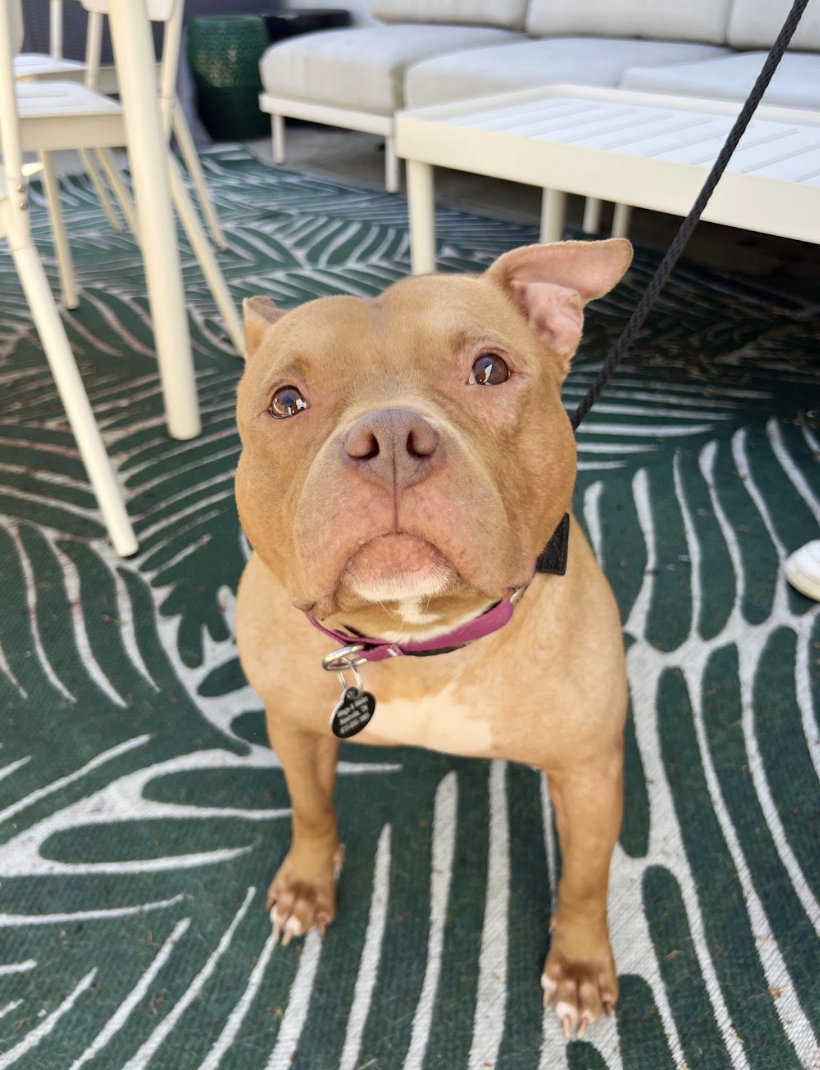 Screenshot 2026-04-22 at 5.58.22 PM.png