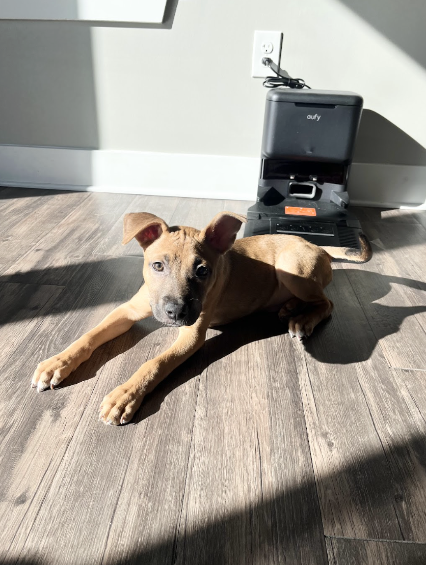 Screenshot 2026-04-03 at 1.57.43 PM.png