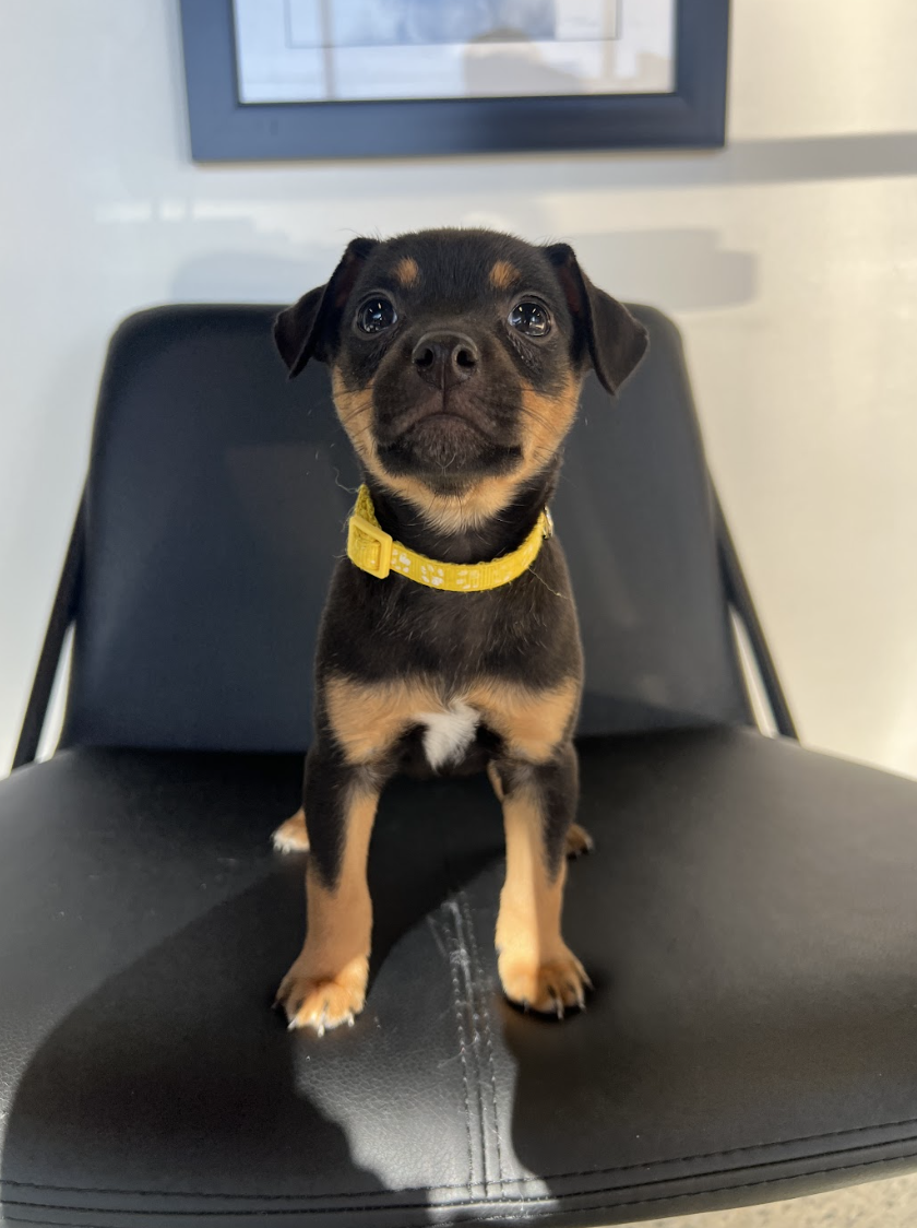 Screenshot 2026-02-13 at 7.44.22 PM.png