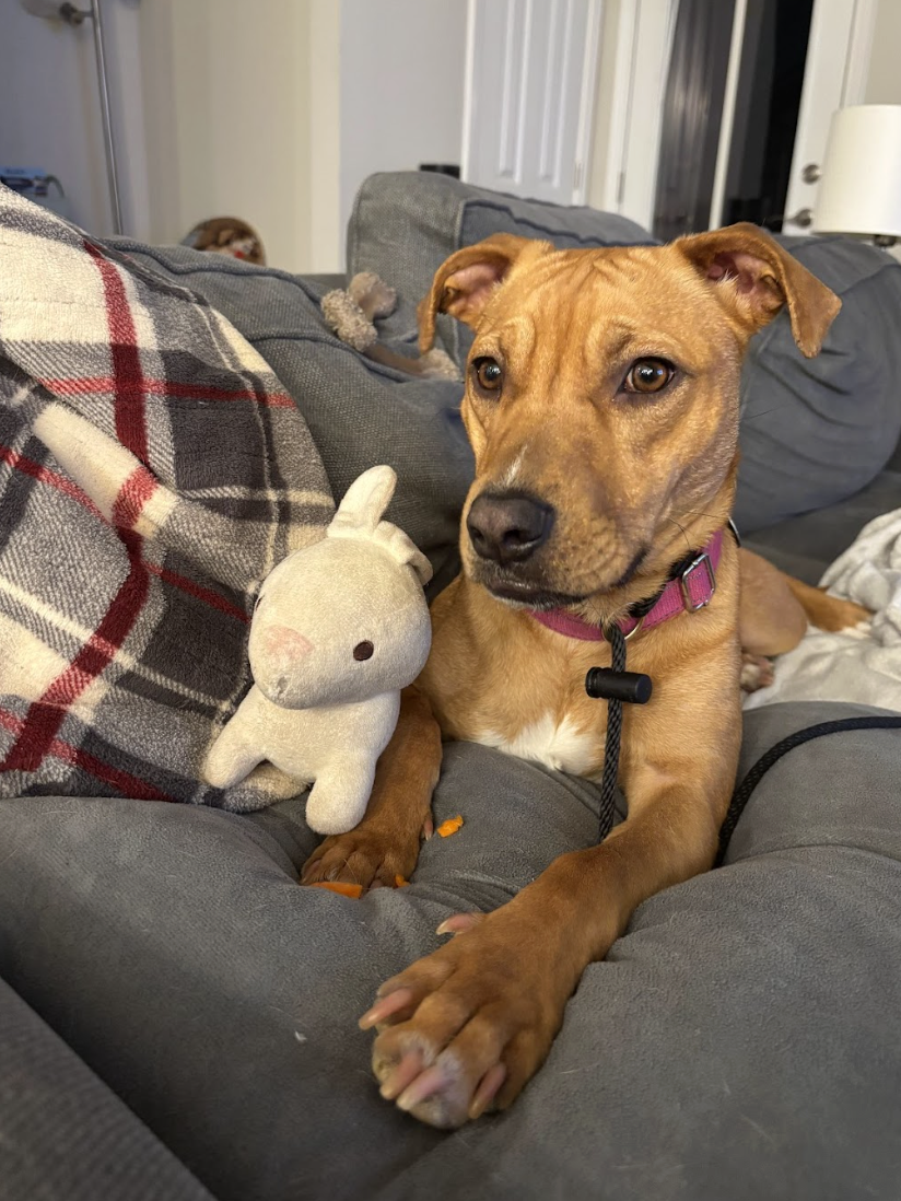 Screenshot 2026-04-22 at 5.25.34 PM.png