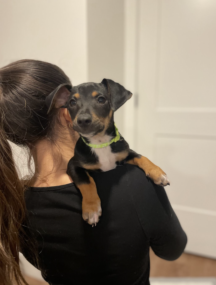 Screenshot 2026-02-26 at 1.19.46 PM.png