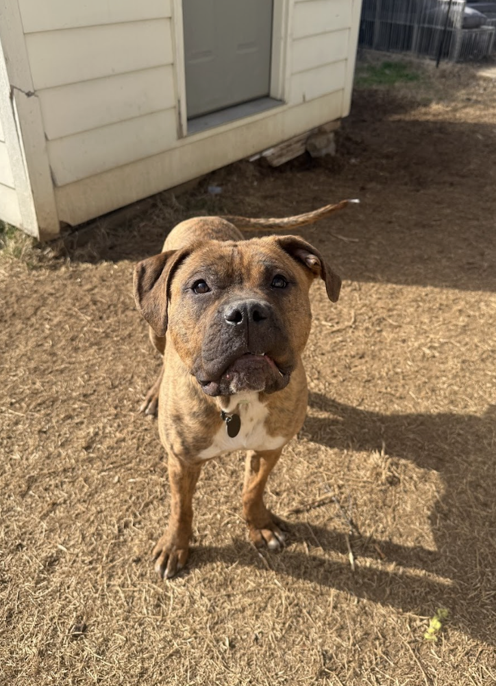 Screenshot 2026-02-26 at 2.19.21 PM.png