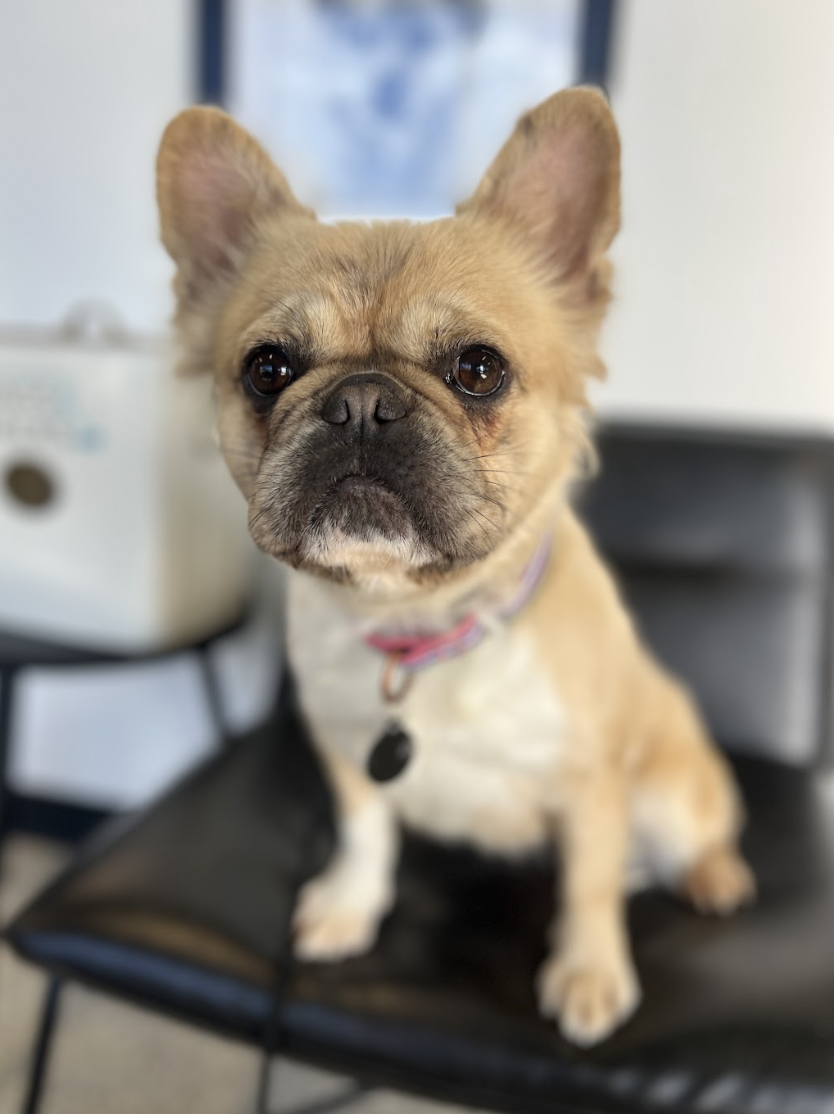 Screenshot 2026-01-15 at 2.32.45 PM.png