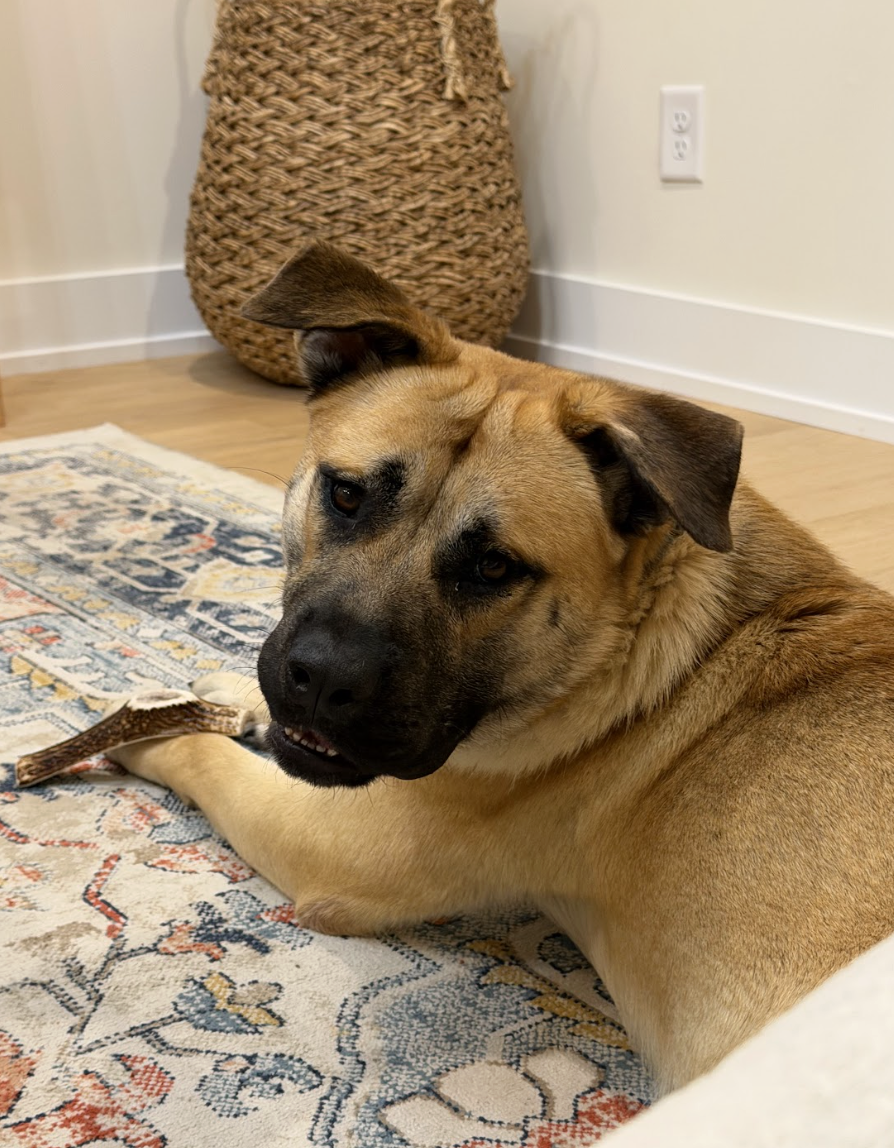 Screenshot 2026-02-27 at 1.53.52 PM.png