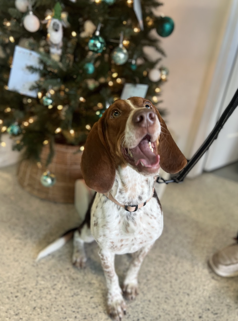 Screenshot 2026-01-08 at 1.56.11 PM.png