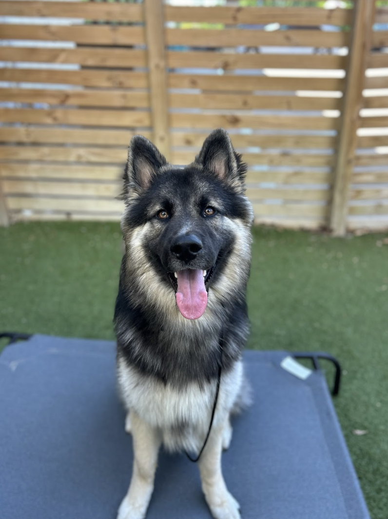 Screenshot 2026-04-23 at 1.44.52 PM.png