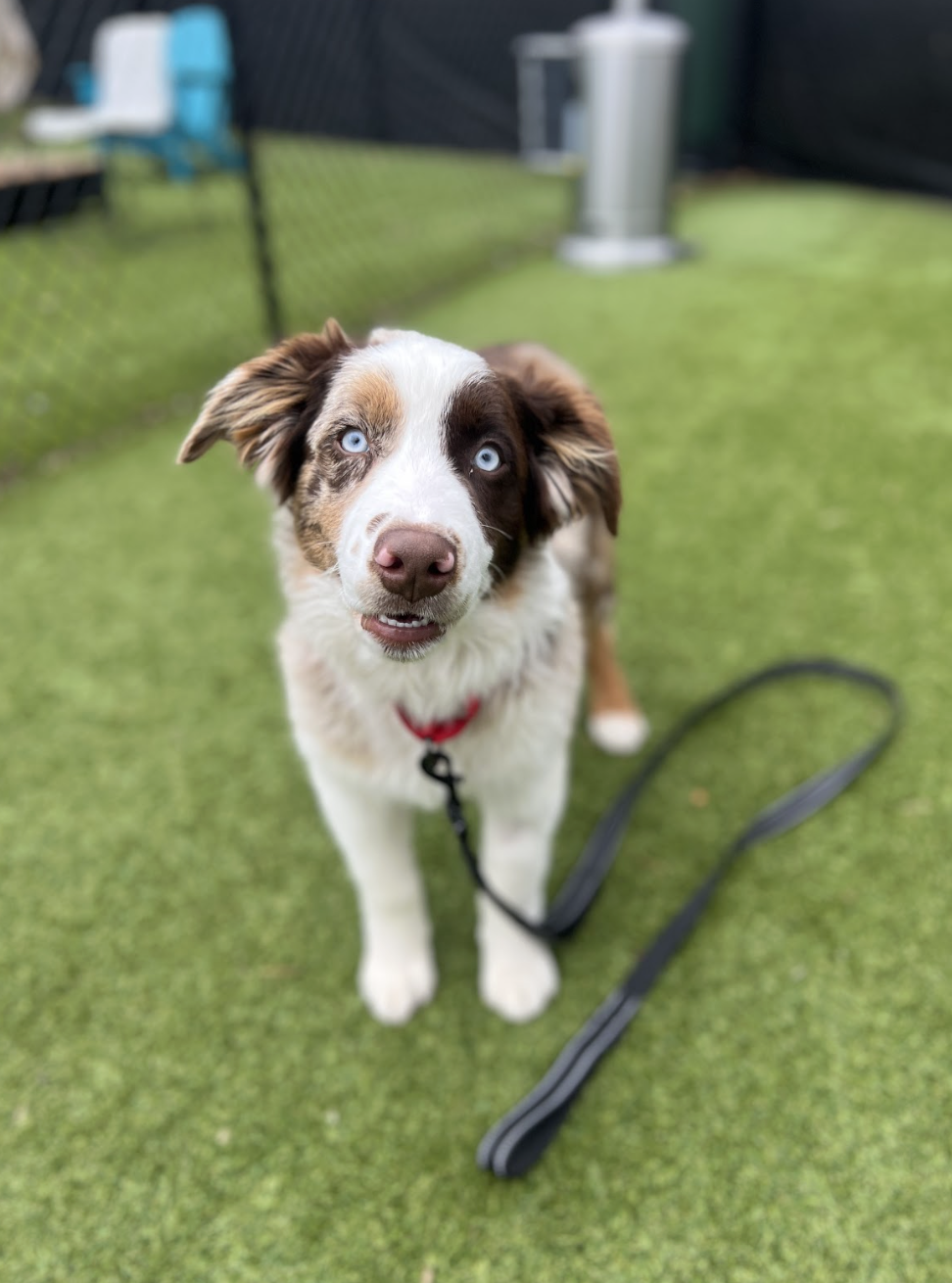 Screenshot 2025-12-16 at 1.37.53 PM.png