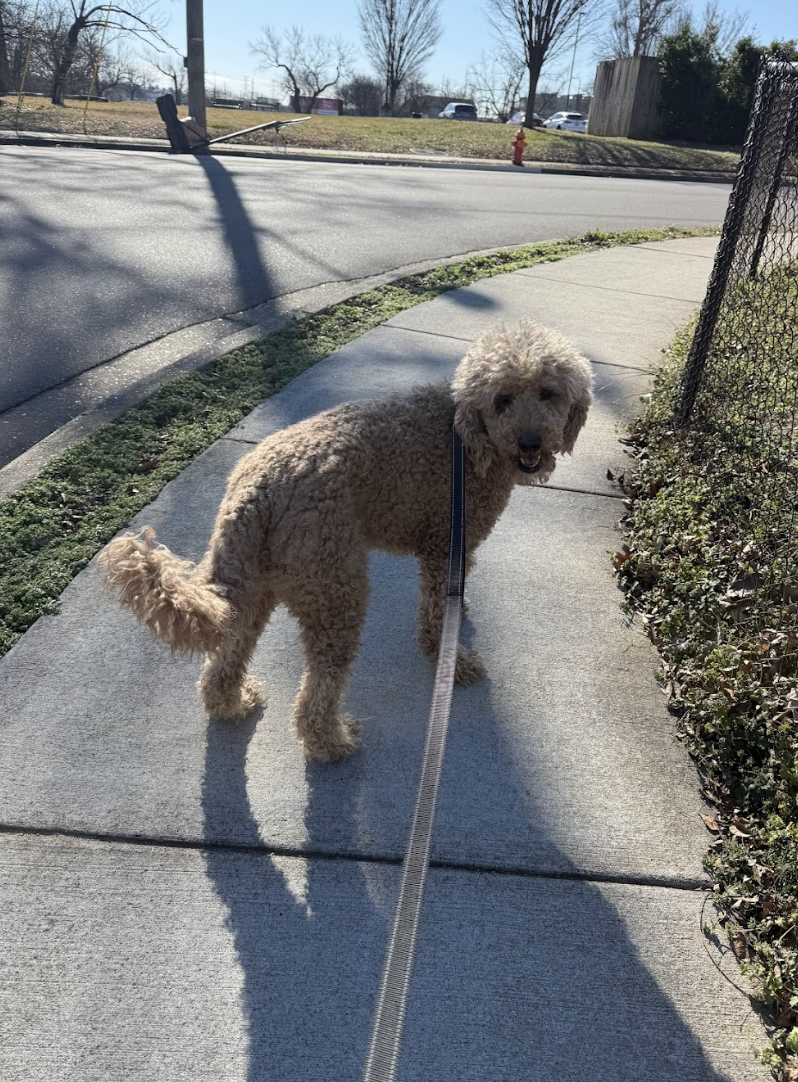 Screenshot 2026-01-20 at 2.20.02 PM.png