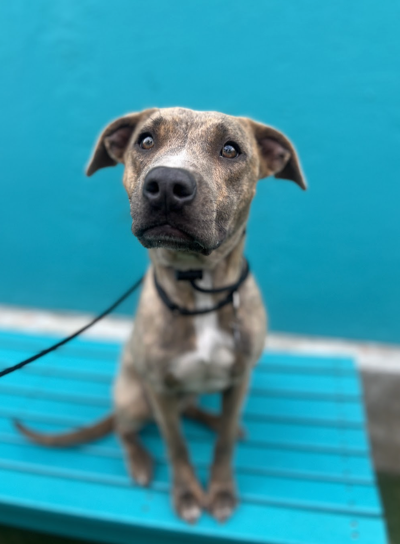 Screenshot 2026-03-26 at 3.08.12 PM.png