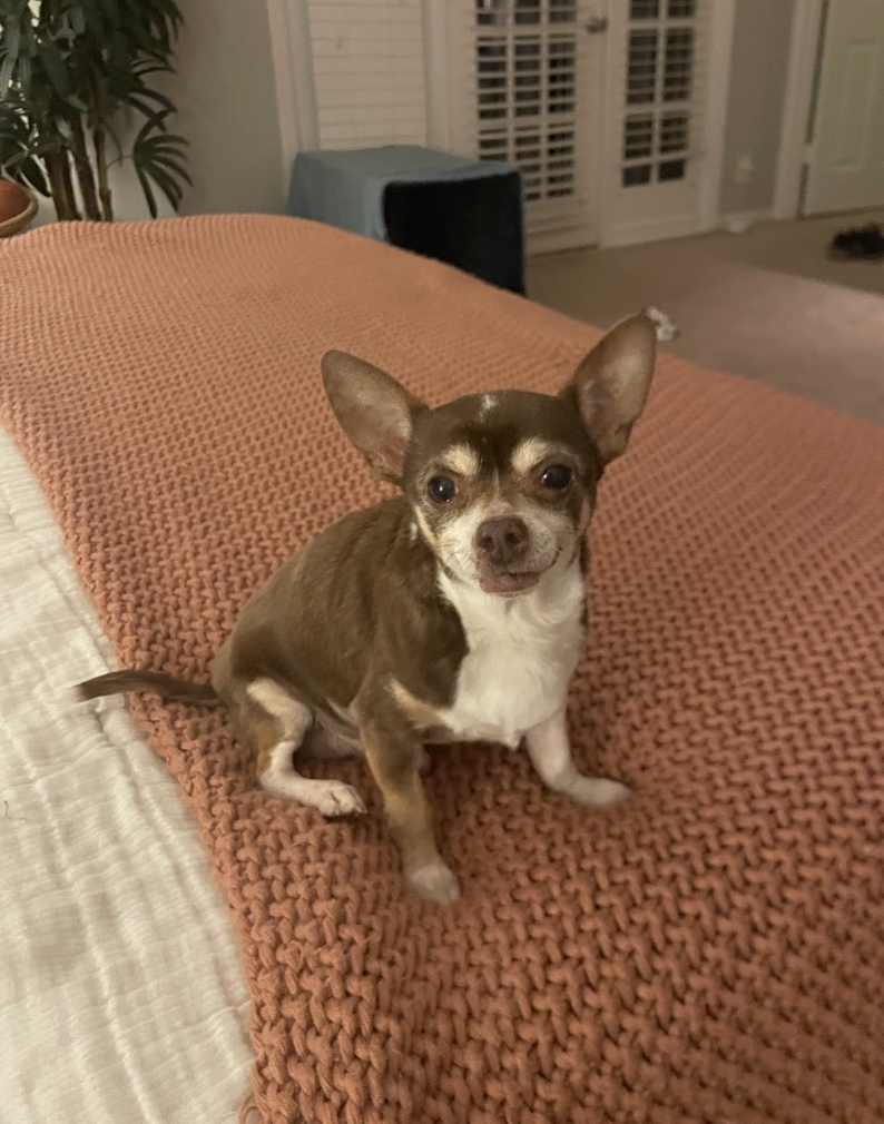 Screenshot 2026-02-05 at 1.51.16 PM.png