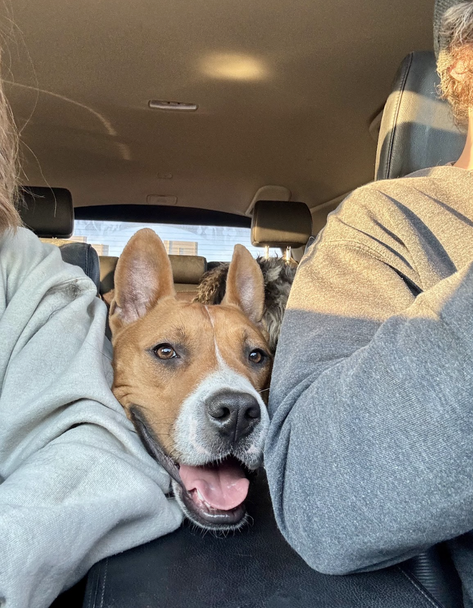 Screenshot 2026-02-16 at 6.57.05 PM.png