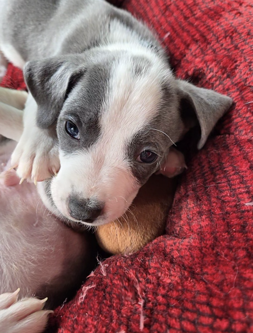 Screenshot 2026-04-23 at 2.20.14 PM.png