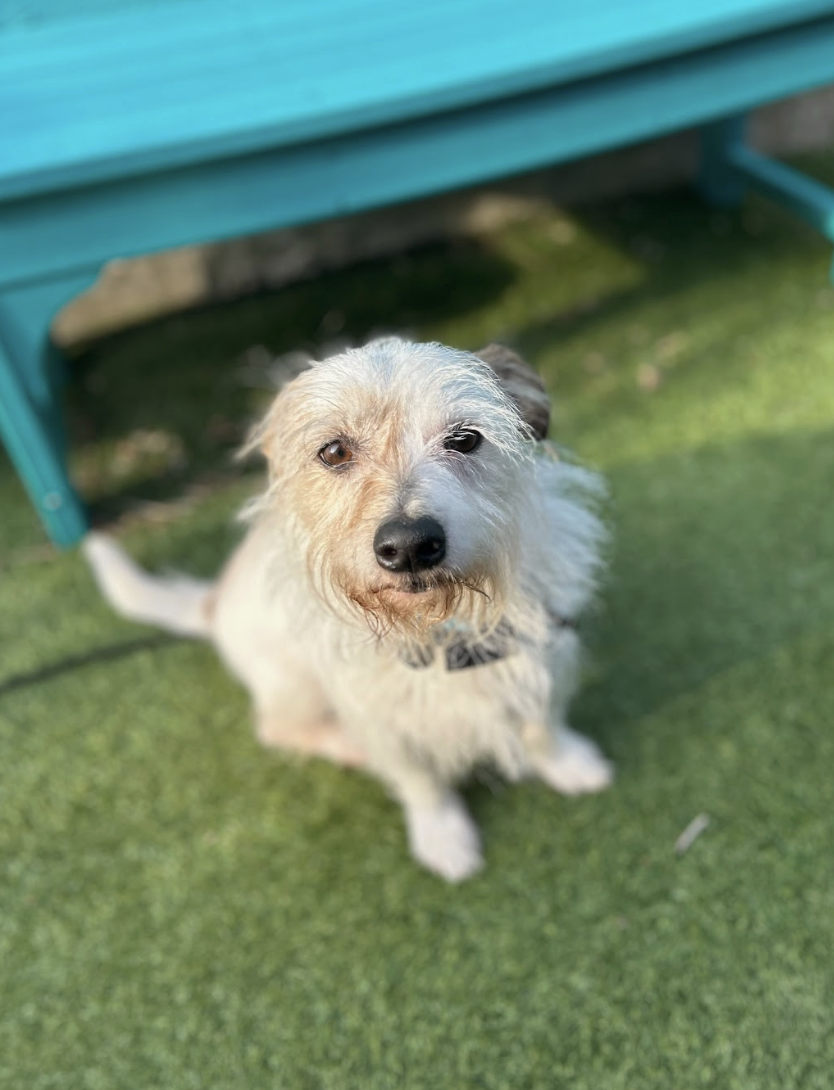 Screenshot 2026-03-05 at 2.27.32 PM.png