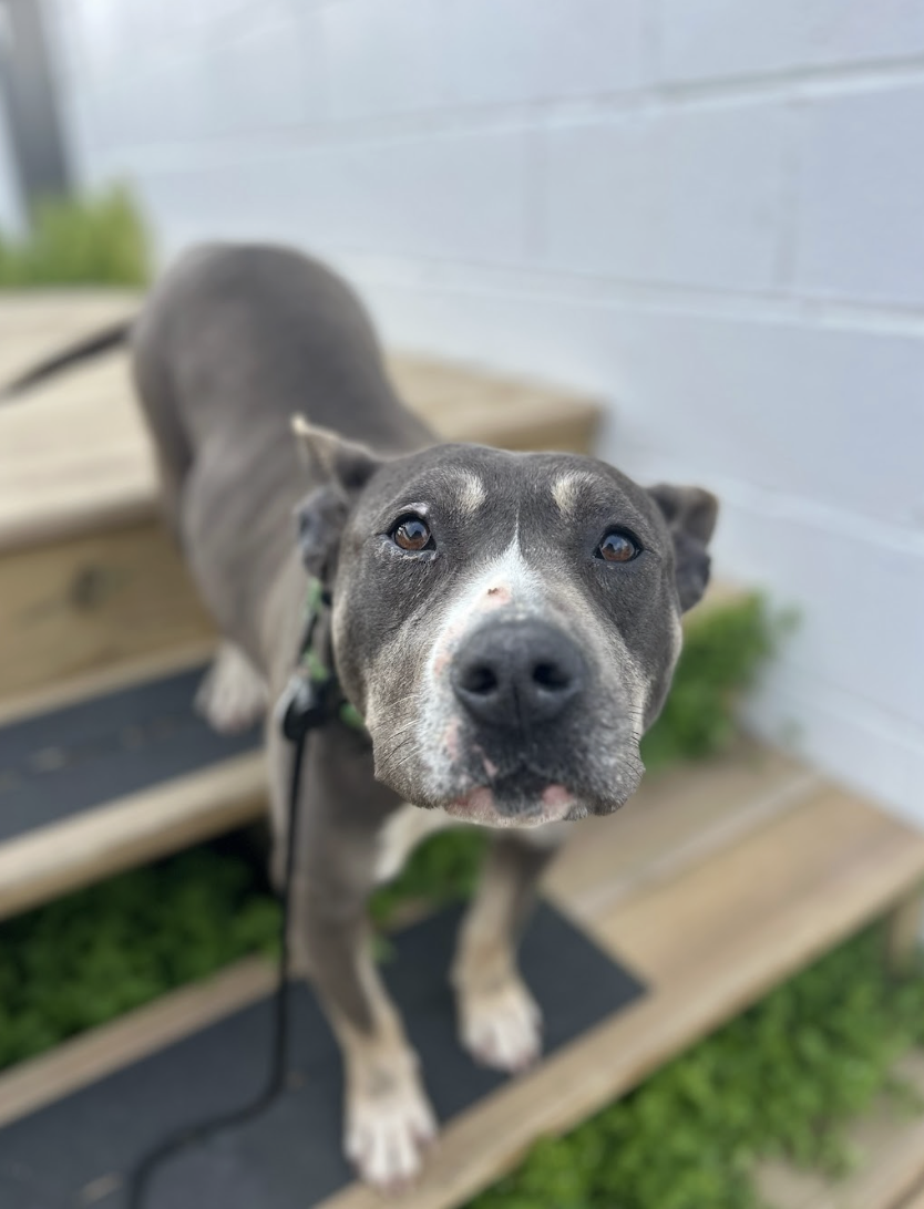 Screenshot 2026-03-26 at 2.16.11 PM.png