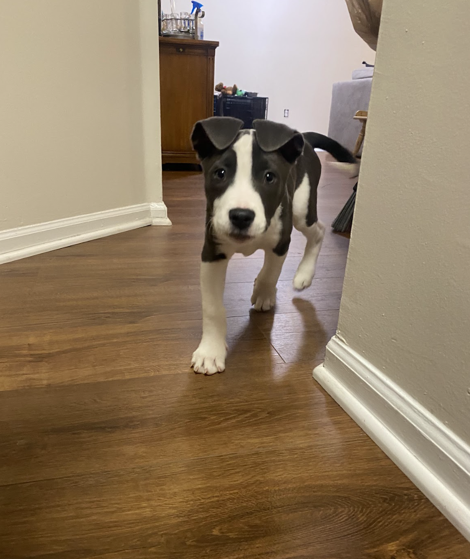 Screenshot 2025-12-26 at 4.57.54 PM.png