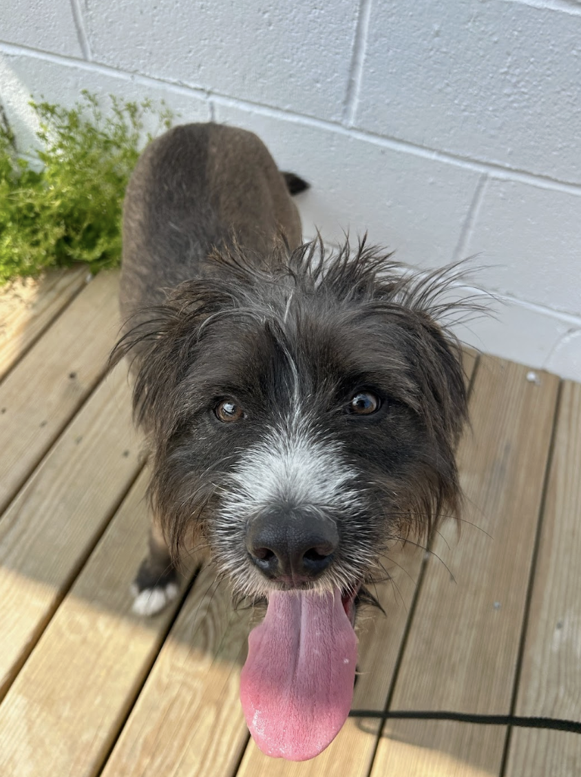 Screenshot 2026-03-26 at 2.29.54 PM.png