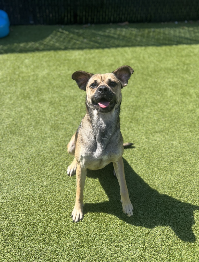 Screenshot 2026-03-20 at 2.24.19 PM.png