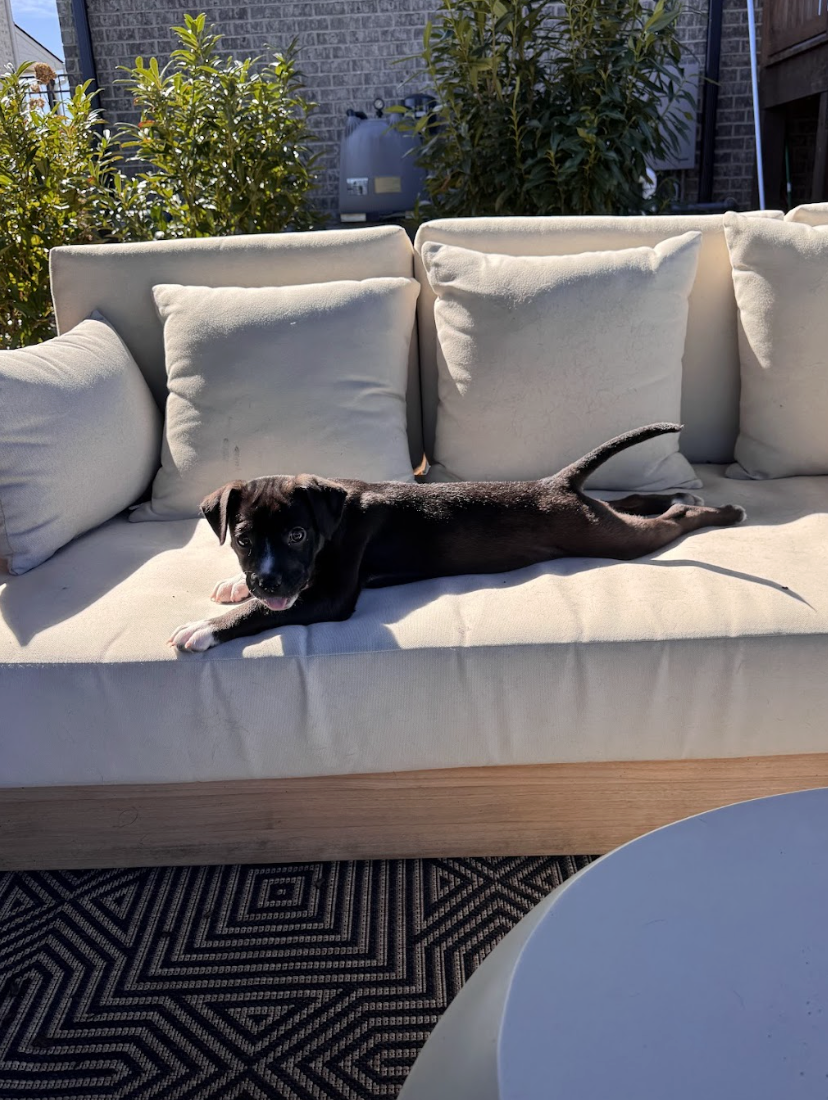 Screenshot 2026-02-20 at 3.46.06 PM.png