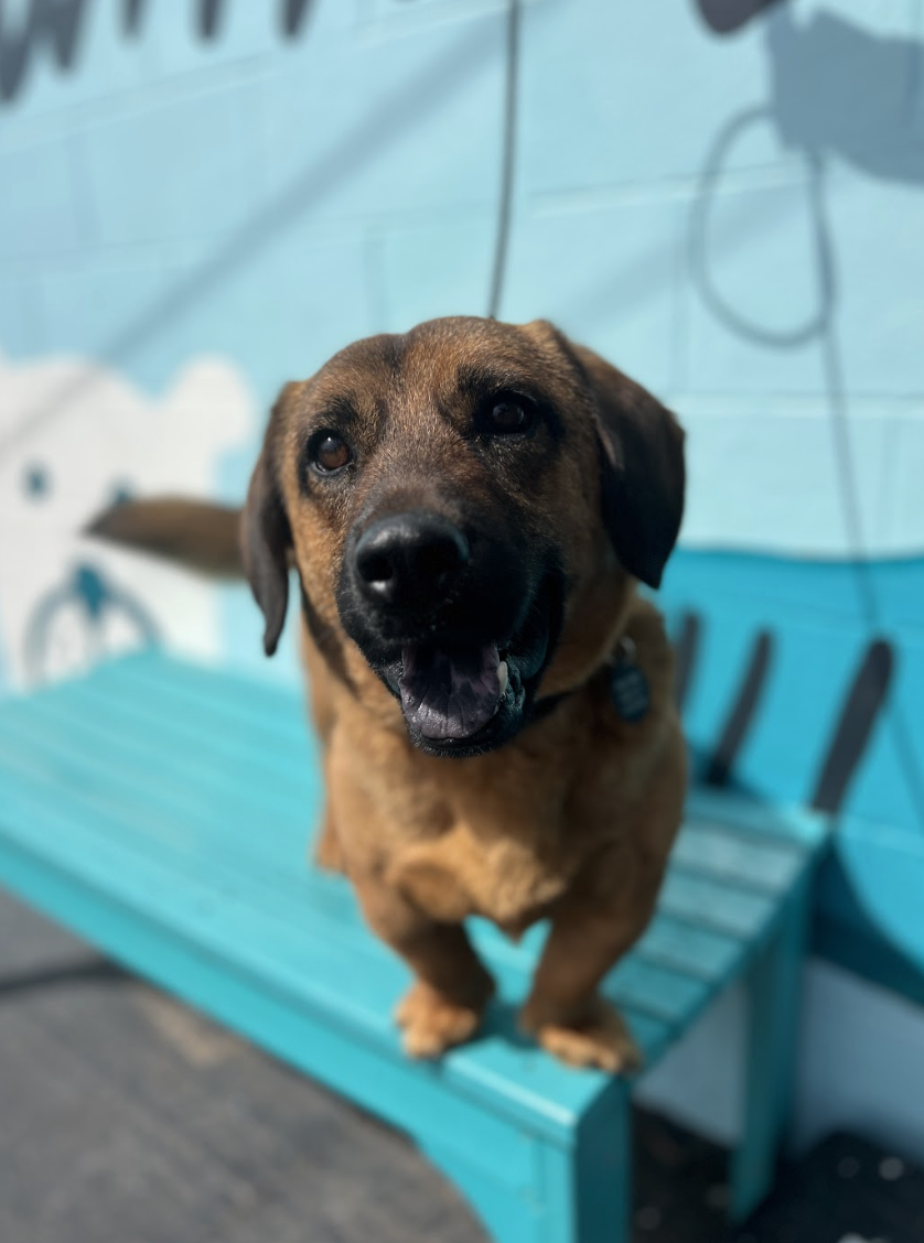 Screenshot 2026-03-14 at 5.47.40 PM.png