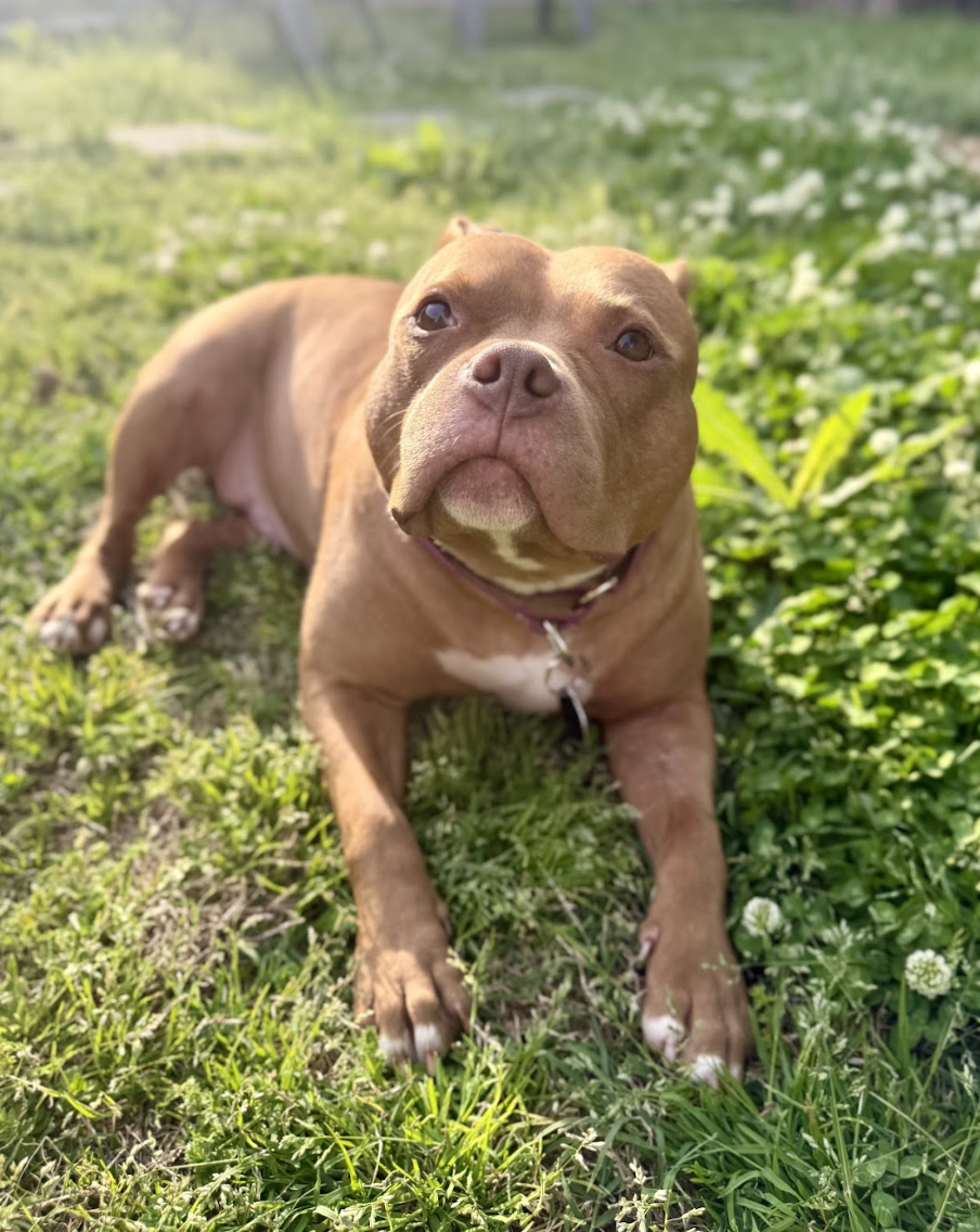 Screenshot 2026-04-22 at 5.56.51 PM.png