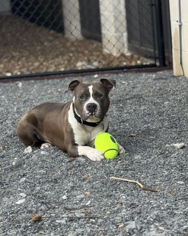 Screenshot 2026-03-20 at 4.00.40 PM.png