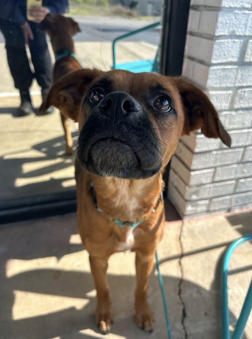 Screenshot 2026-03-20 at 2.28.39 PM.png