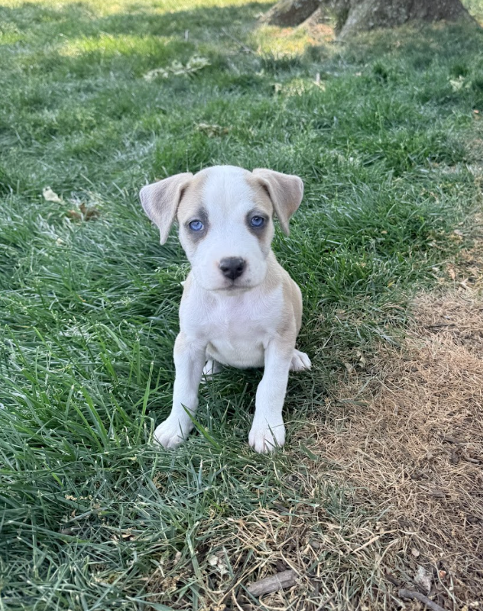 Screenshot 2026-04-23 at 2.22.57 PM.png