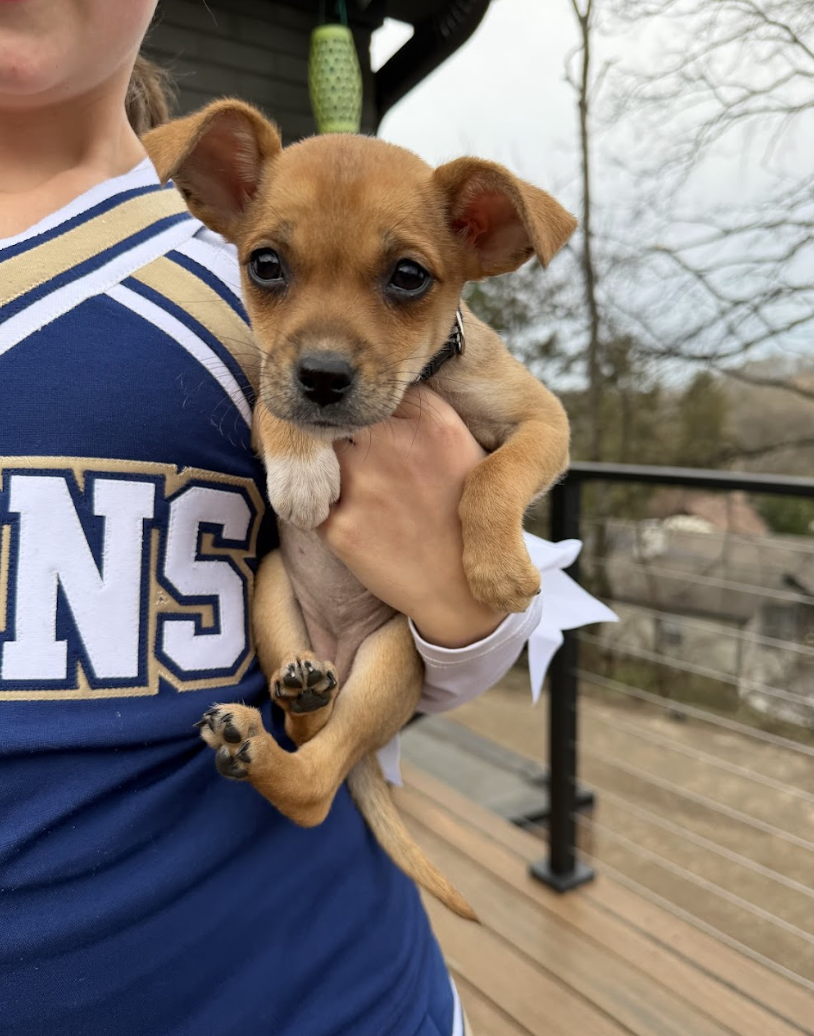 Screenshot 2026-02-26 at 12.52.07 PM.png