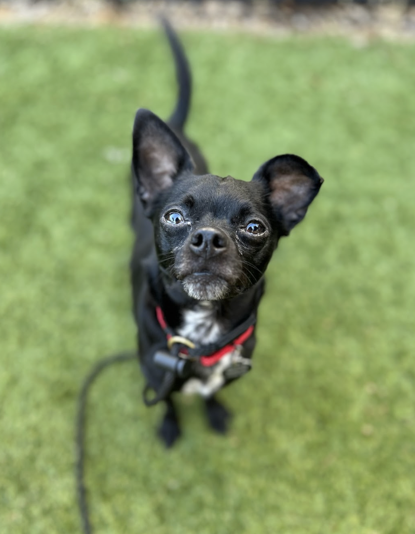 Screenshot 2026-04-23 at 2.07.05 PM.png