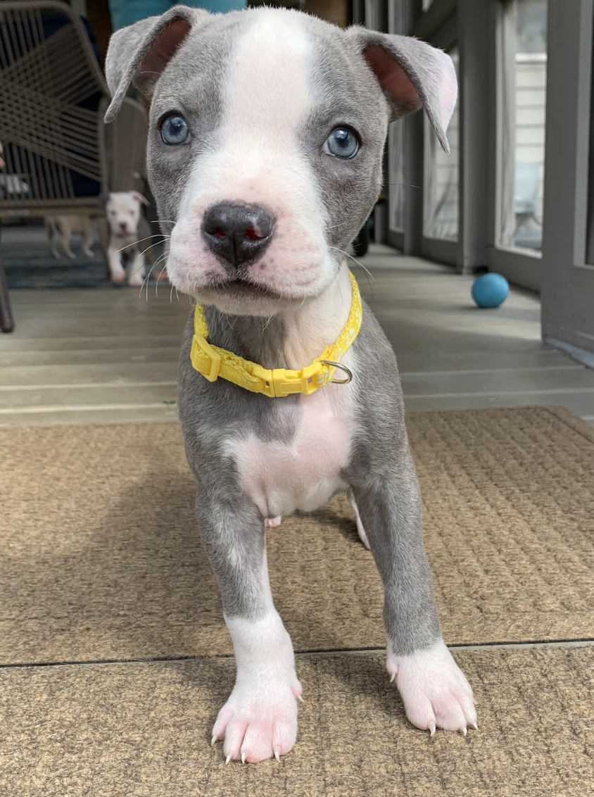 Screenshot 2026-03-14 at 1.35.25 PM.png