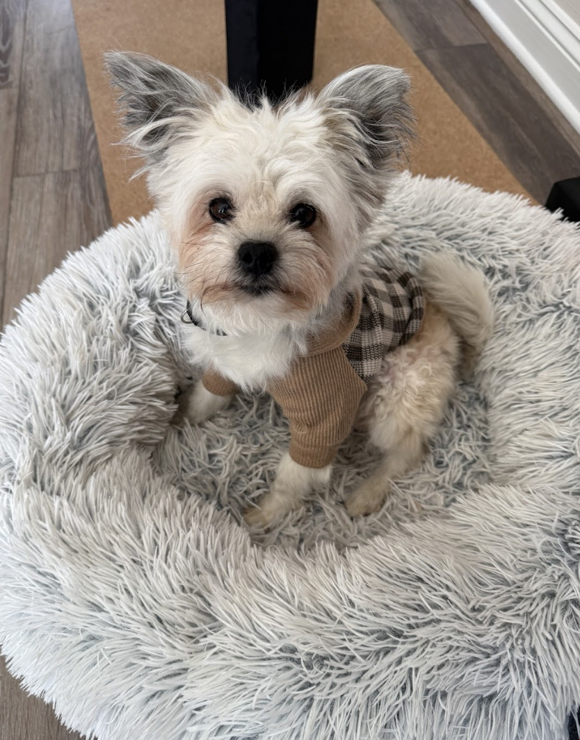 Screenshot 2026-01-14 at 2.07.51 PM.png