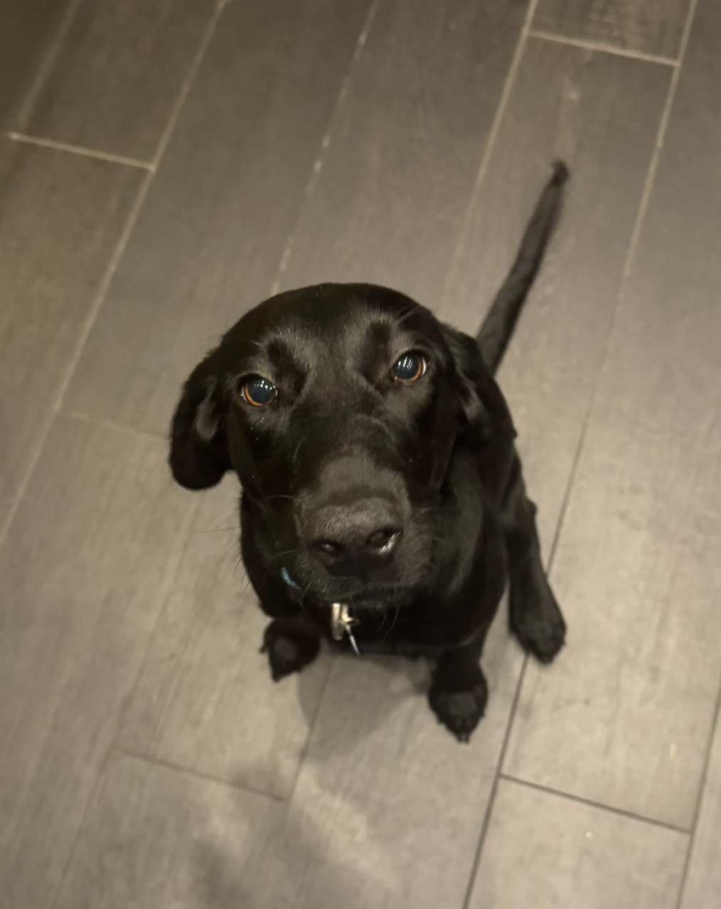 Screenshot 2025-11-18 at 2.42.14 PM.png