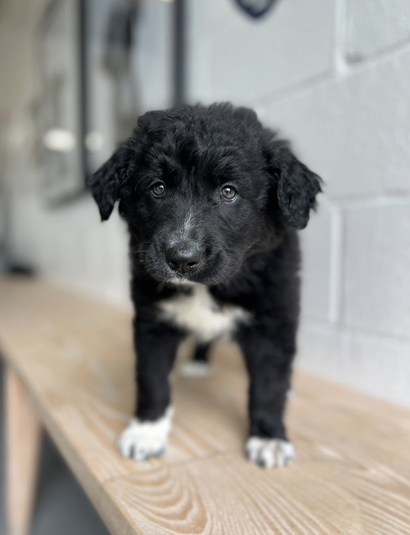 Screenshot 2026-04-16 at 4.12.30 PM.png