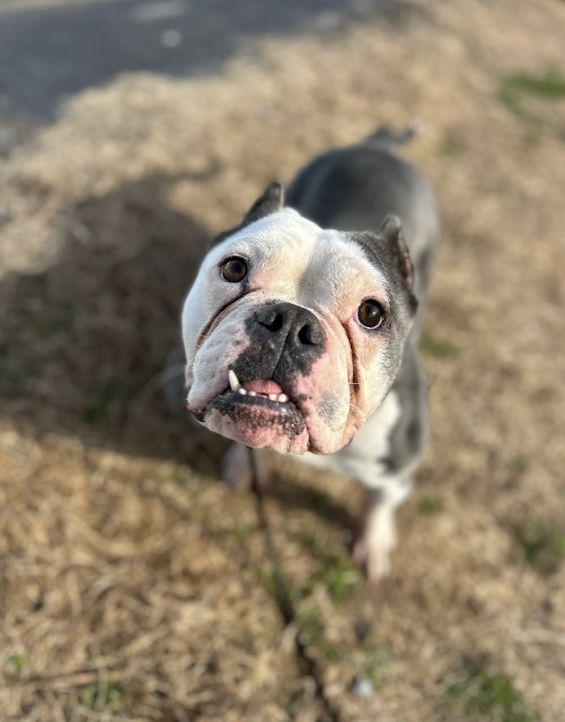 Screenshot 2026-02-25 at 1.02.48 PM.png