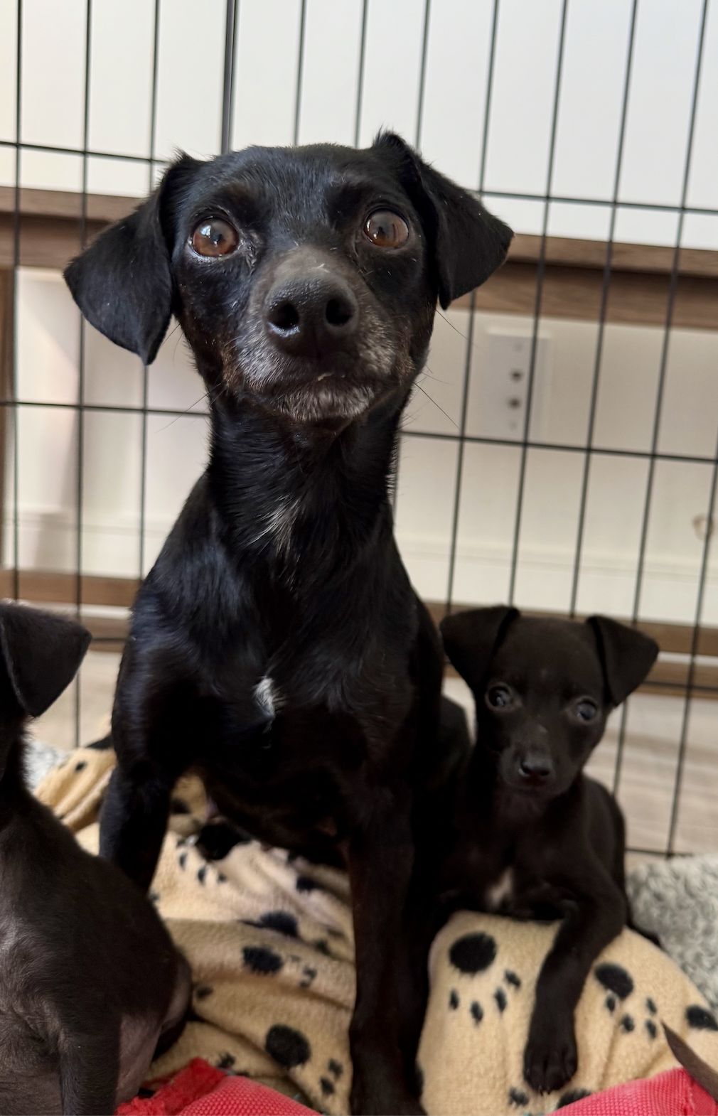 Screenshot 2026-03-18 at 2.44.18 PM.png