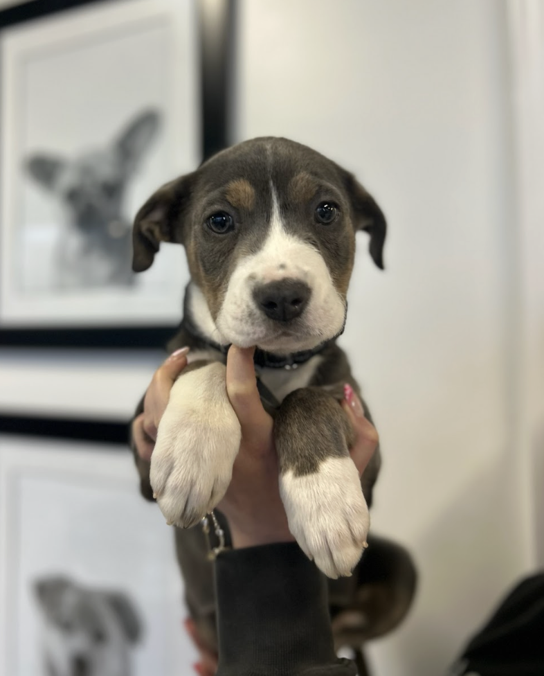 Screenshot 2026-02-19 at 5.02.27 PM.png