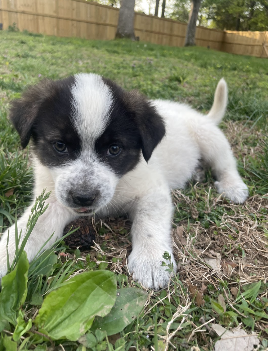 Screenshot 2026-04-13 at 2.36.44 PM.png