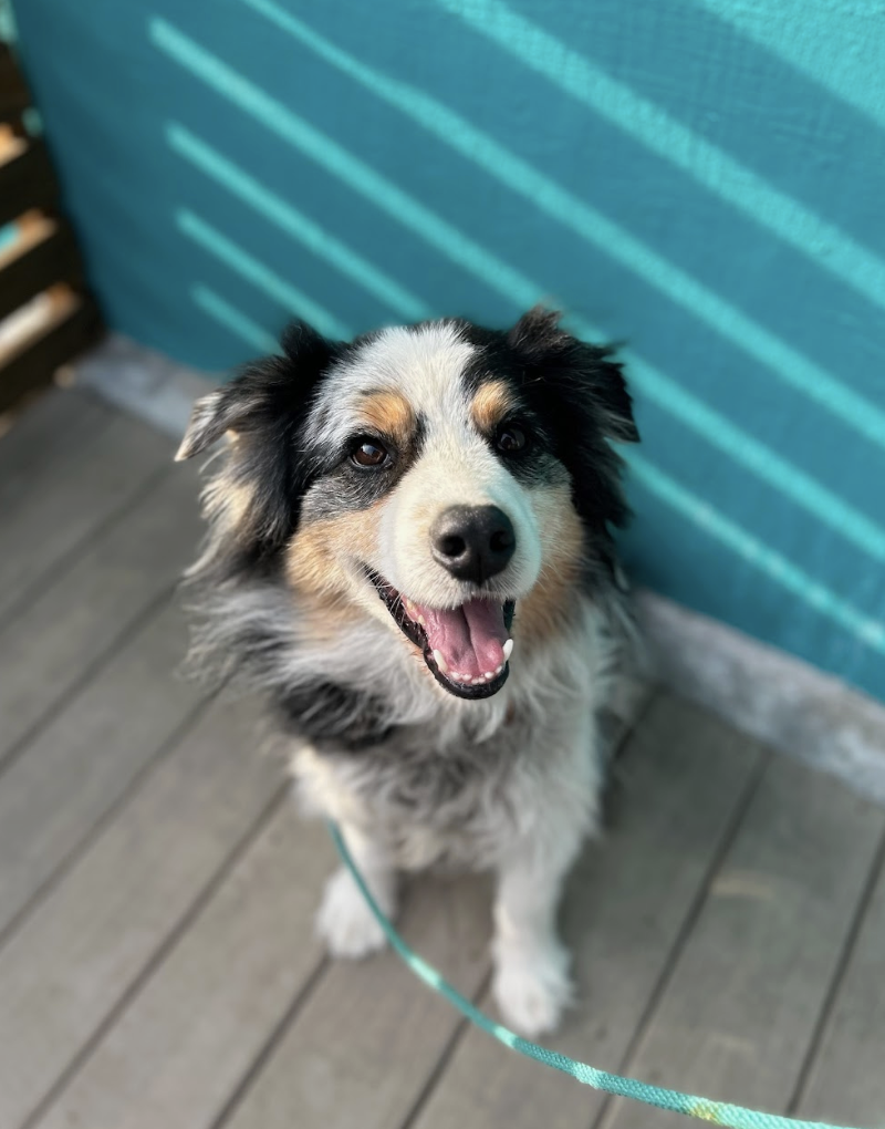 Screenshot 2026-03-05 at 2.25.48 PM.png